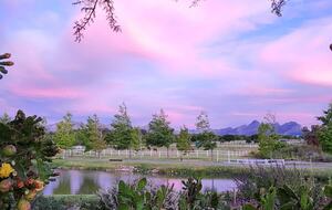 Manor House Fijndraai Estate - Stellenbosch, South Africa