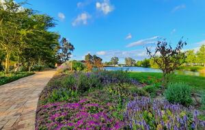 Manor House Fijndraai Estate - Stellenbosch, South Africa