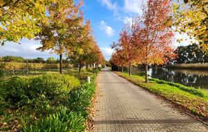 Manor House Fijndraai Estate - Stellenbosch, South Africa