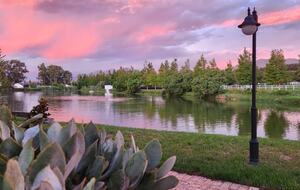 Manor House Fijndraai Estate - Stellenbosch, South Africa