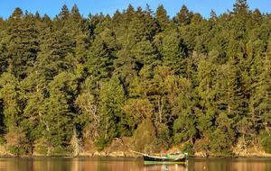 Friday Harbor Waterfront Cabin - Friday Harbor, Washington