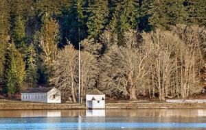 Friday Harbor Waterfront Cabin - Friday Harbor, Washington