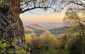 The Glade Castle - Glade Valley, North Carolina