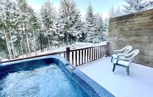 Ski-in, Ski-out Snowshoe Retreat - Snowshoe, West Virginia