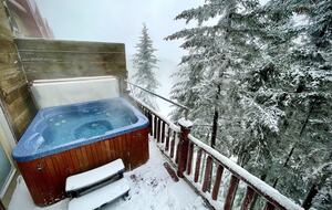 Loggers Run Retreat Ski-in, Ski-out - Snowshoe, West Virginia