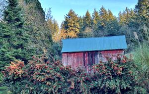 Charming Home Polk County - Dallas, Oregon