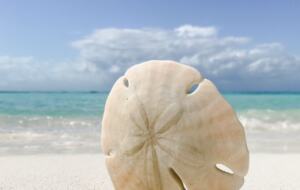 30A Rosemary/Alys Beach Retreat - Inlet Beach, Florida