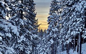 Top of the Peak Tahoe Chalet - Incline Village-Crystal Bay, Nevada