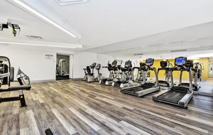 Cottage Style Loft - Ottawa, Canada