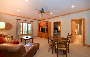 Downstairs Family Room