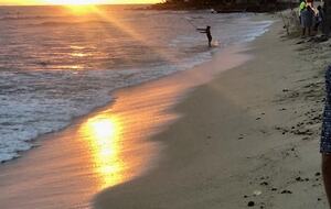 New Beachfront Home - Ewa Beach, Hawaii