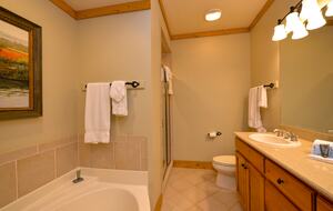 Downstairs King Private Bathroom