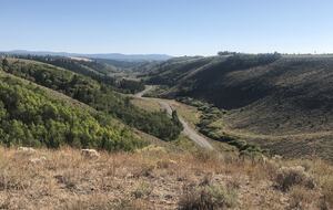 Lazy Triple Creek Ranch | Exclusive Idaho Sporting Estate on 2,200+ Acres - Rexburg, Idaho