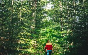 Luxury Bruce Peninsula A-Frame with 25 Private Acres and Private Trails! - Mar, Canada