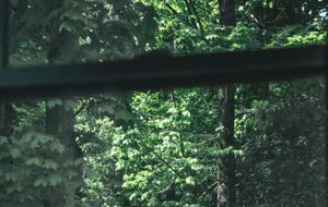 Luxury Bruce Peninsula A-Frame with 25 Private Acres and Private Trails! - Mar, Canada