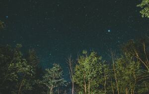 Luxury Bruce Peninsula A-Frame with 25 Private Acres and Private Trails! - Mar, Canada