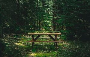 Luxury Bruce Peninsula A-Frame with 25 Private Acres and Private Trails! - Mar, Canada