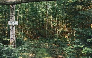 Luxury Bruce Peninsula A-Frame with 25 Private Acres and Private Trails! - Mar, Canada