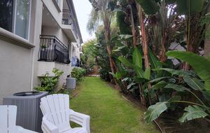 Shared back yard with barbecue and fire pit