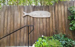 SoCal Beach Living | Steps to the Beach & Carlsbad Village - Carlsbad, California