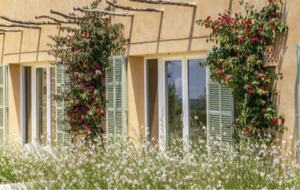 Es Palmer - Ses Salines, Mallorca, Spain