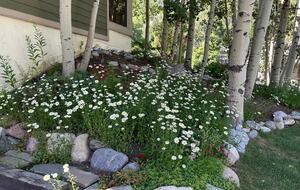 Golf & Ski Townhome near Vail & Beaver Creek - Avon, Colorado