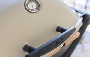 Las Olas Surfing - San Jose del Cabo, Mexico