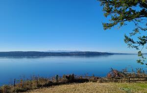 Modern Cabin by the Sea - Camano Island, Washington