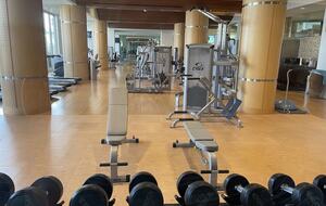 Beach Bliss - Pensacola Beach, Florida