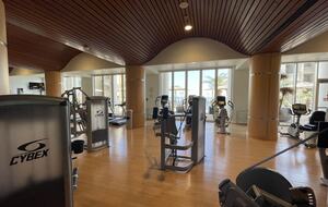 Beach Bliss - Pensacola Beach, Florida