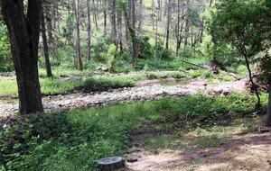 Pine Mountain Lake Paradise at Yosemite - Groveland, California