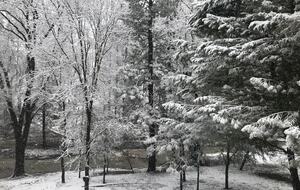Pine Mountain Lake Paradise at Yosemite - Groveland, California