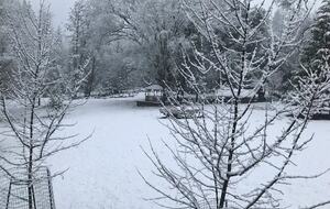 Pine Mountain Lake Paradise at Yosemite - Groveland, California