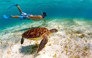 All-Inclusive 7-night TERRA Experience at Mimosa House (Private) - Bequia, Saint Vincent and the Grenadines