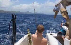 All-Inclusive 7-night TERRA Experience at Mimosa House (Private) - Bequia, Saint Vincent and the Grenadines