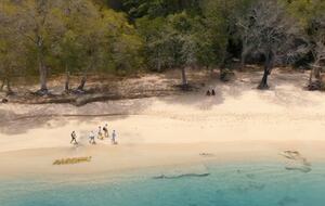 All-Inclusive 7-night TERRA Experience at Mimosa House (Private) - Bequia, Saint Vincent and the Grenadines