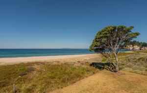 Beachfront Paradise | Whiritoa Beach Home - Whangamatā, New Zealand