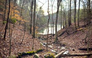 Whispering Winds Mountain Retreat - Ellijay, Georgia
