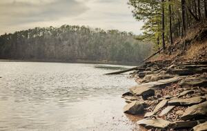 Whispering Winds Mountain Retreat - Ellijay, Georgia