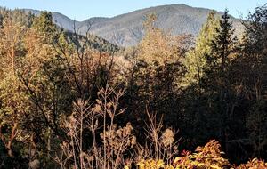 Wine Country Estate - Grants Pass, Oregon