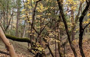 Wine Country Estate - Grants Pass, Oregon