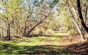 Wine Country Estate - Grants Pass, Oregon