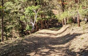 Wine Country Estate - Grants Pass, Oregon