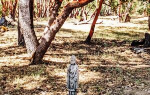 Wine Country Estate - Grants Pass, Oregon