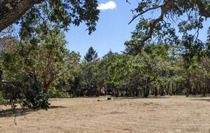 Wine Country Estate - Grants Pass, Oregon