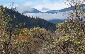 Wine Country Estate - Grants Pass, Oregon