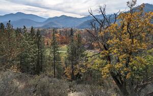 Wine Country Estate - Grants Pass, Oregon
