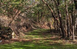 Wine Country Estate - Grants Pass, Oregon