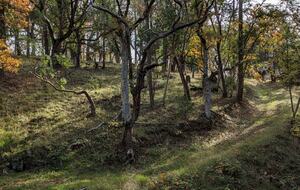 Wine Country Estate - Grants Pass, Oregon
