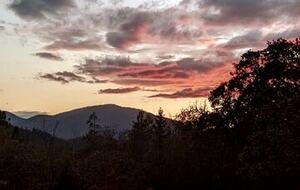 Wine Country Estate - Grants Pass, Oregon
